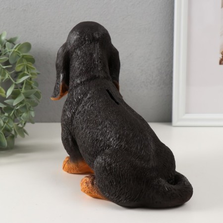 The piggy bank "Dachshund" is 19 cm height, width 11 cm, length 23 cm.-3