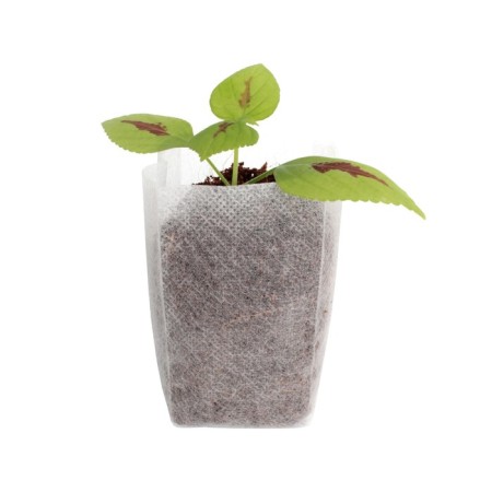 Packages for seedlings, 250 ml, 10 × 12 cm, in a set of 100 pcs.-1