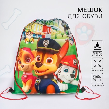 Shoe bag 420*330 mm, puppy patrol "Team"-2