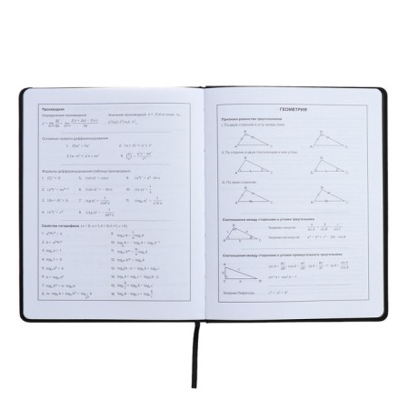 Universal Grade 1-11 Diary, 48 sheets "Girl 2", solid cover of artificial leather, lies, universal cheat sheet, block 80 g/m2-8