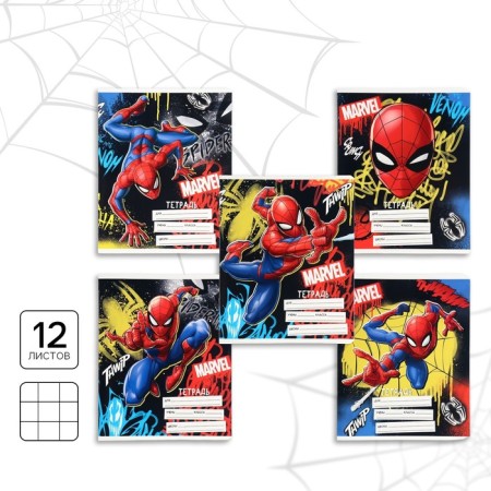 Notebook in a cage 12 sheets, 5 types of mix, cover coated cardboard, spider-man