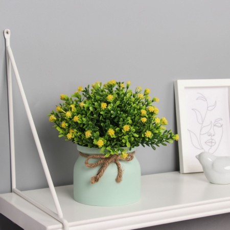 Bonsai in the pot "Astra Trush Mini" 17x10 cm, mix-2