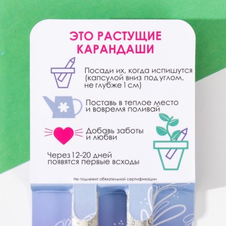 Growing gift pencils Mini "Basil + Mint" set 2 pcs.-2