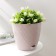 Pot for flowers with basal watering "Rumba", 3 l, pink color