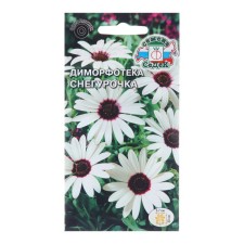 Snow Maiden Flower Seeds 