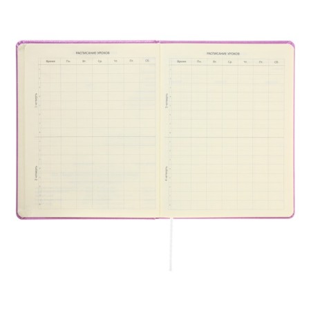 Universal Diary for Butterfly 1-11 grade, solid cover, artificial leather, foamy, foil embroidery, liesse, 80 g/m2-5