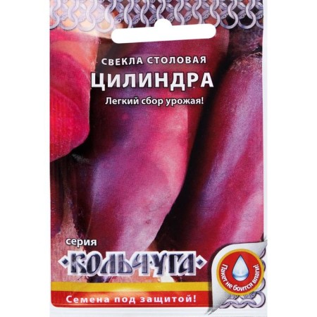 Cylinder beets Seeds of the Colchug series, 3 g