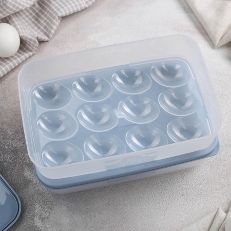 A set of containers for eggs, 2 pcs, 22.5 × 15 × 7.5 cm, color mix-1