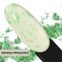 Gel nail polish, Milk Potal, 3 phase, 8ml, LED/UV, white/green color (08)