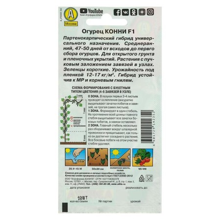 Cucumber seeds "Connie" F1, medium early, parthenocarpic, 0.25 g (10pcs)-5
