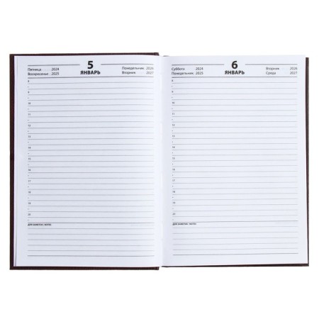 The diary half -dantered for 4 years A5, 192 leaf "Leather", solid cover, silk, brown-8
