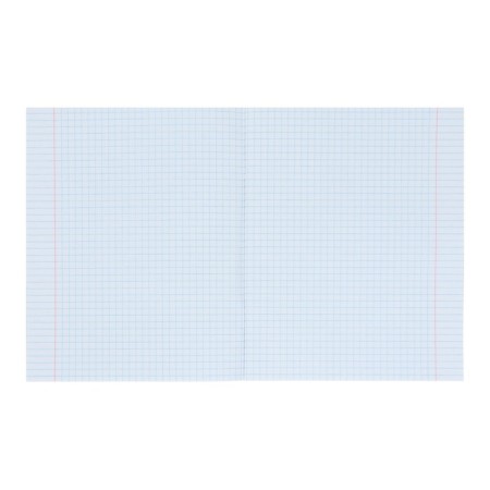 Notebook 24 sheets in the Calligrata cage "Plain. Classic", cover coated cardboard, varnish, OFSET BOLK, Belility 95%, MIX-2