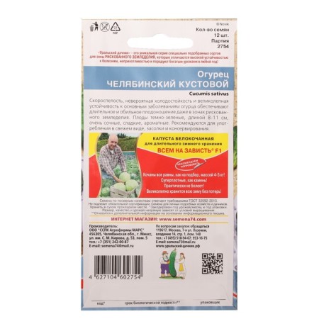Seeds Cucumber "Chelyabinsk Kustovoy", 12 pcs-1