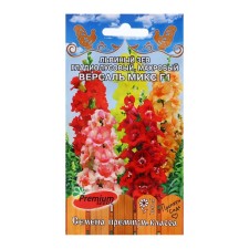 Flower seeds lion Zev Gladiolus terry 