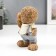 Souvenir Polystone "Cute Bear" mix 15x9.5x6.5 cm