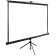 Cactus screen 200x200cm Triexpert CS-PSTE-200x200-BK 1: 1 floor roll black