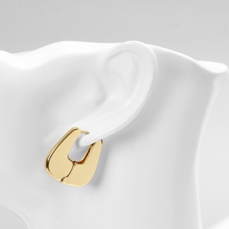 Earrings Metal "Bohemia" messenger, color gold-2