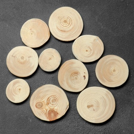 Saw a tree "pine", round, d = 4-7 cm, h = 5 mm-1