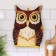 A heating pad on the jacket - the press "owl", brown, 30x22 cm