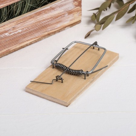 Mousetrap, 10 × 5 cm, wooden-2