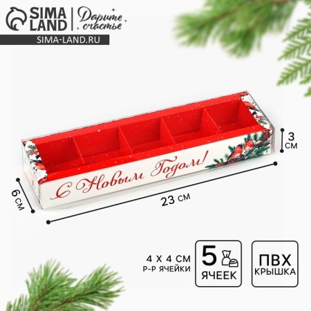 Box for 5 sweets with cells "Bullfins", 6 x 23 x 3 cm