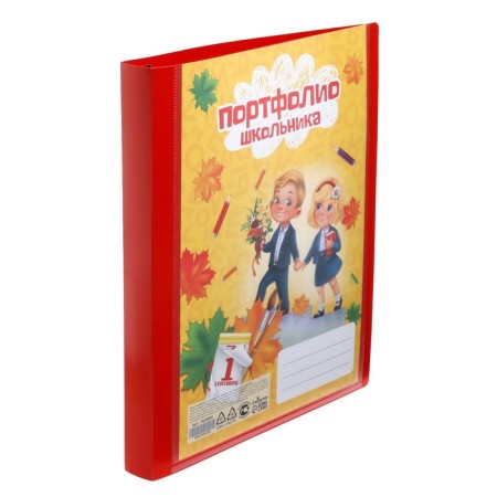 A4 Portfolio folder, calligrata "gymnasium", plastic, on 4 rings, for a student, without liners-1