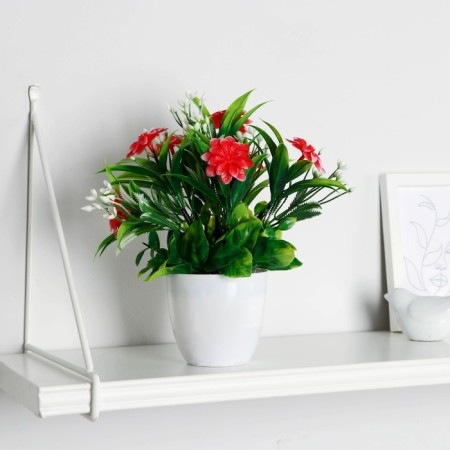Bonsai in the pot "Clivia Citrine" 9x21 cm, mix