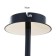 Light "Sedar" LED 18W 3000-6000K black and gold 35x18x30 cm Bayerlux