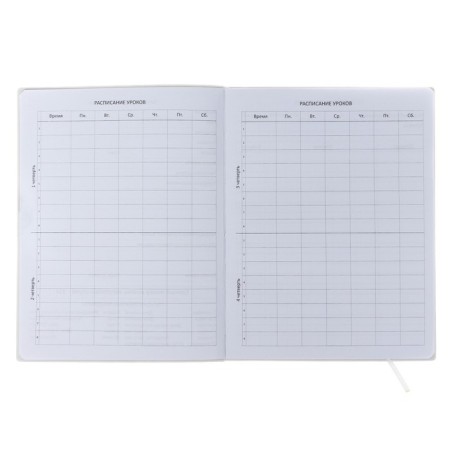 Universal diary for grade 1-11 "All Dreams about you", soft cover, artificial leather, silk-screen printing, Liesse, 80 g/m2-4