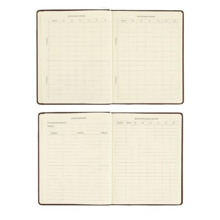 Universal diary for grade 1-11 Dark Brown, hard cover, artificial leather, foam rubber, lies, 80 g/m2-6