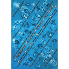 Star protection of the Earth. The origins. Lang t