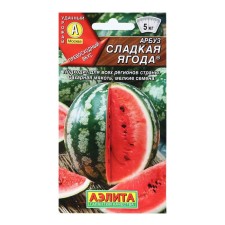 Watermelon seeds 