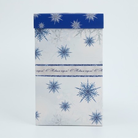 Folding box with 3D effect "Snow Waltz", 18 x 14 x 23 cm, New Year-3