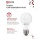 LED lamp In Home LED-A60-VC, E27, 12 W, 230 V, 4000 K, 1140 lm