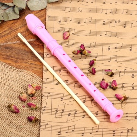 Music Life Blockflate, Pink, German System, Soprano, 30 cm-5