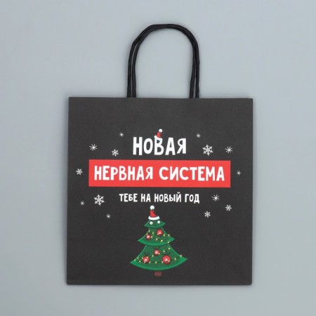 Package gift craft "Nerves", 22 x 22 x 11 cm, new year-6