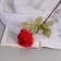 Artificial flowers "silk rose" d-10 cm 45 cm, red