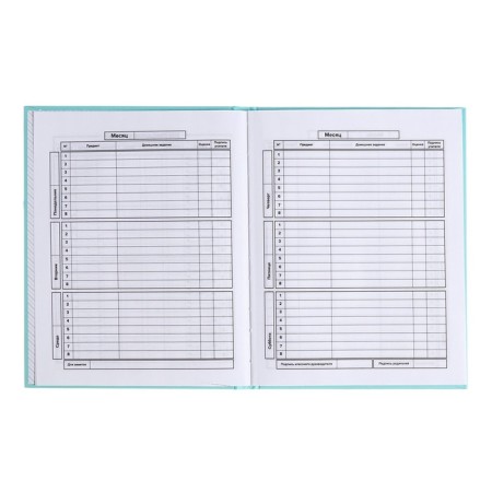 School diary for grades 1-11, "turquoise", covered paper cover, hard binding cardboard 7BC, matte lamination, universal cheat sheet, 48 sheets, block 65g/m2-6