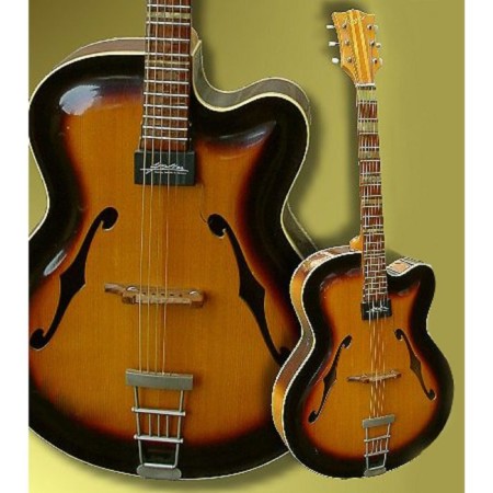 Suncture for jazz guitar Shadow Sh-AZ48-1