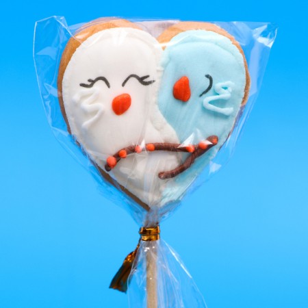 Vanilla mini-flood on a stick "Birds" 15 g-5