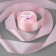 Satin tape, 50 mm × 23 ± 1 m, pastel-pink color No. 43