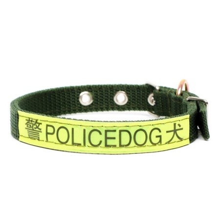 Two -layer collar with a swivel, 2 cm, green-2