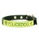 Two -layer collar with a swivel, 2 cm, green