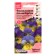 Flower seeds Violet Horned "Sorbet XP Morf F1", 5 pcs