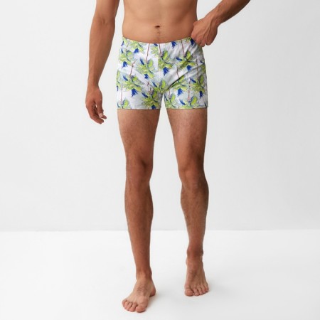 Bathing panties men's minku "palm trees", river 50