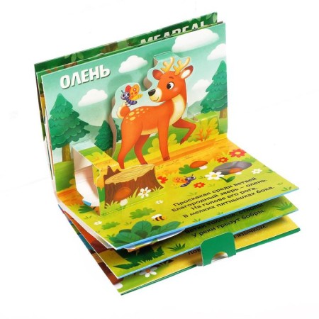 3D-bosom book "Who is hiding in the forest?" 12 p.-4
