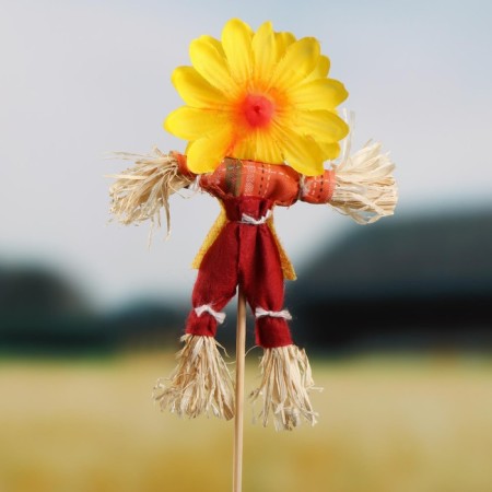 The garden scarecrow "Sun", h = 50 cm, mix, Greengo-1