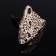 Decoration to the car deflector, leopard