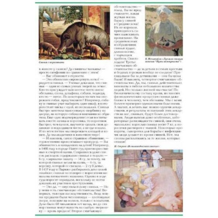 Riddles of the animal world-7