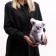 Antistress toy "Koala"